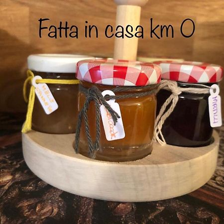 Paradiso Della Bici Morbegno Dış mekan fotoğraf