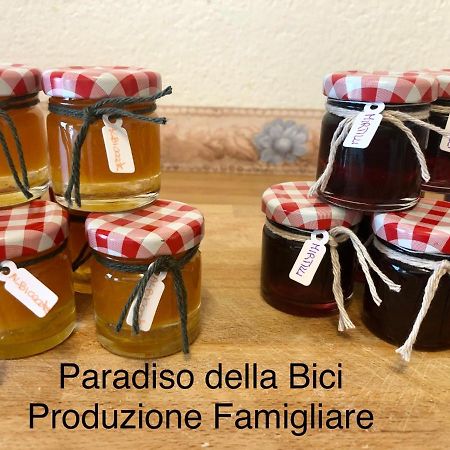 Paradiso Della Bici Morbegno Dış mekan fotoğraf