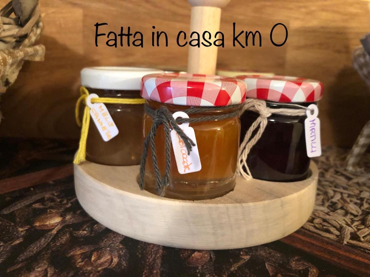 Paradiso Della Bici Morbegno Dış mekan fotoğraf