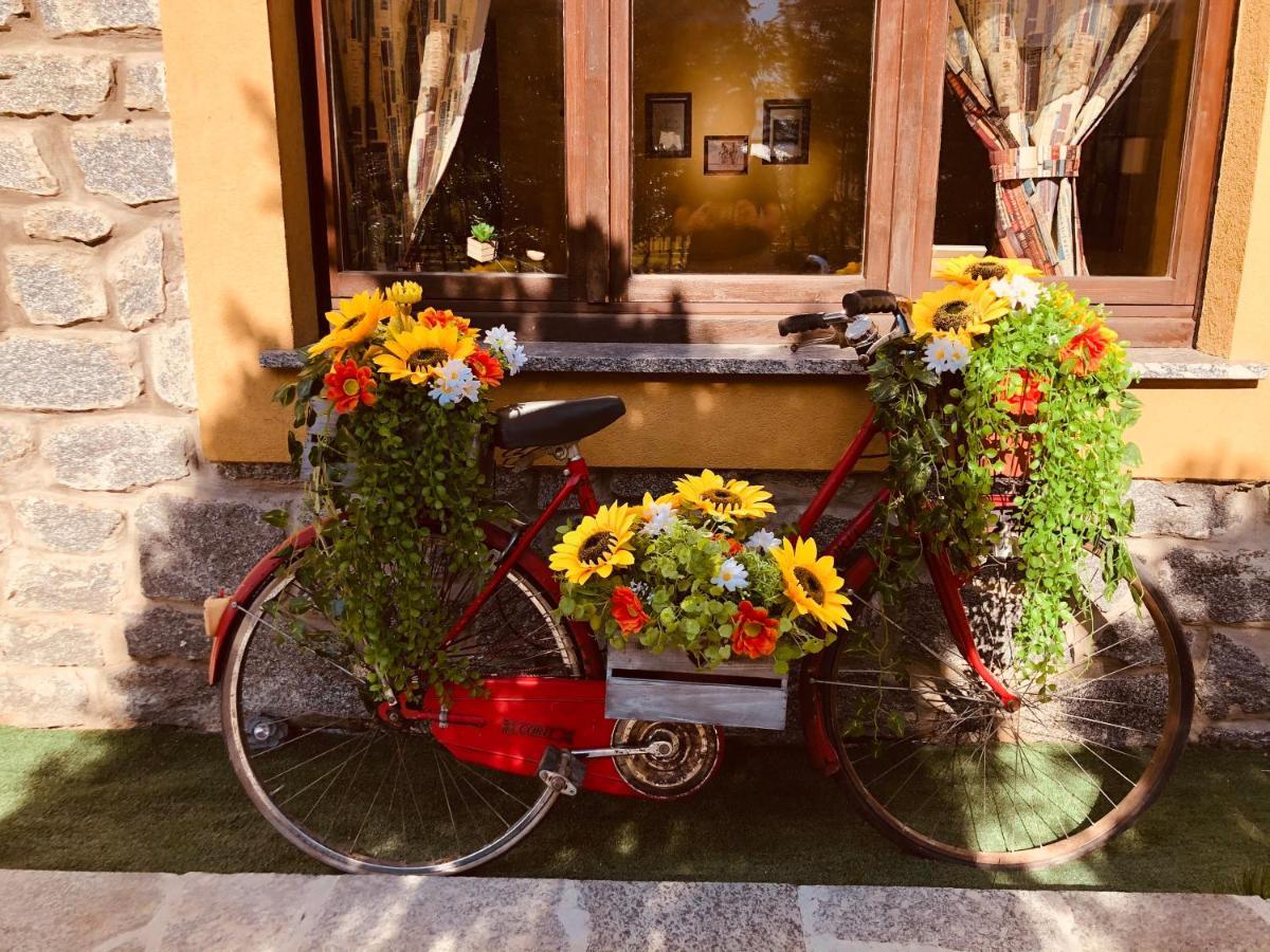 Paradiso Della Bici Morbegno Dış mekan fotoğraf