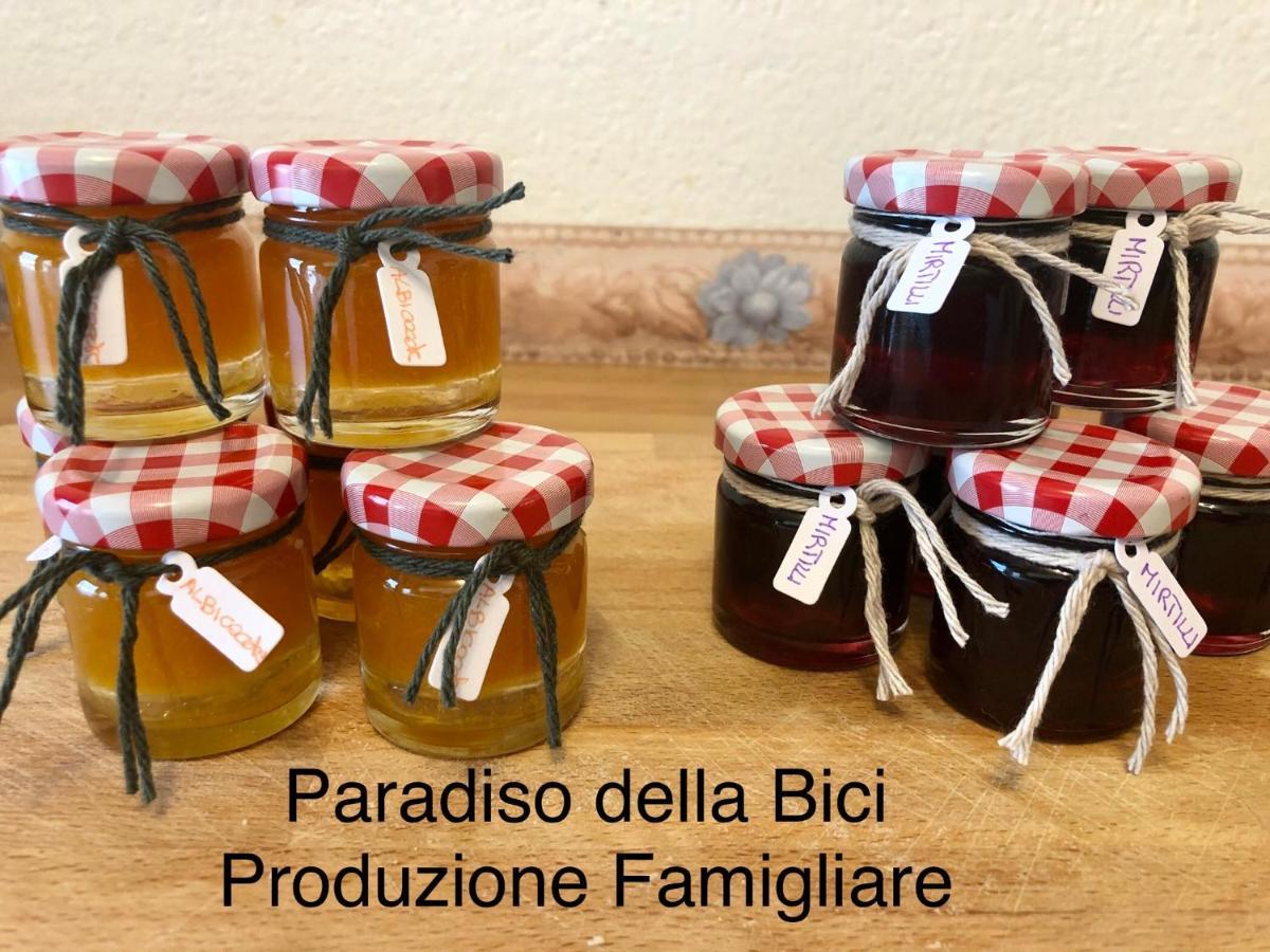 Paradiso Della Bici Morbegno Dış mekan fotoğraf
